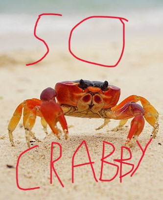 CRABO.jpg